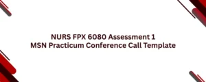 NURS FPX 6080 Assessment 1 MSN Practicum Conference Call Template